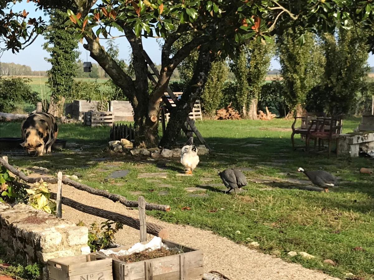 Chez Gustave&Compagnie Panzió Choussy Kültér fotó